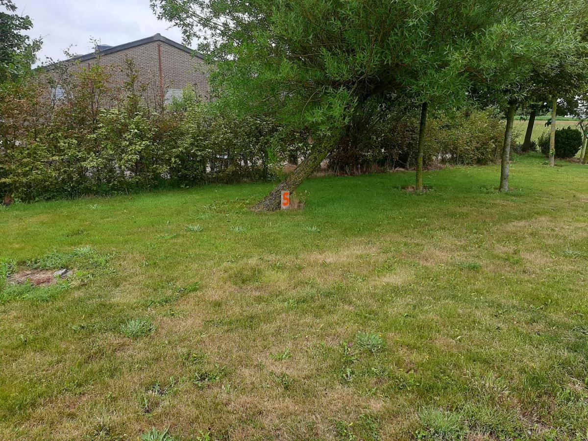 Empty Spot On Grass The Tulip No Beds Camping Julianadorp