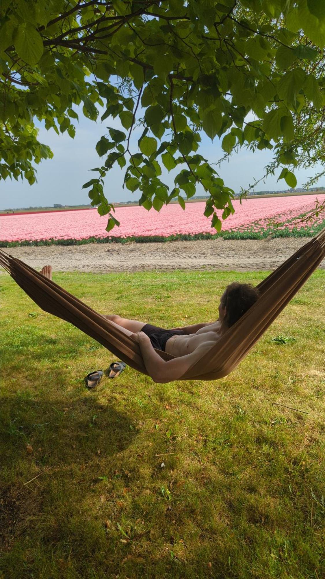 Camping Empty Spot On Grass The Tulip No Beds