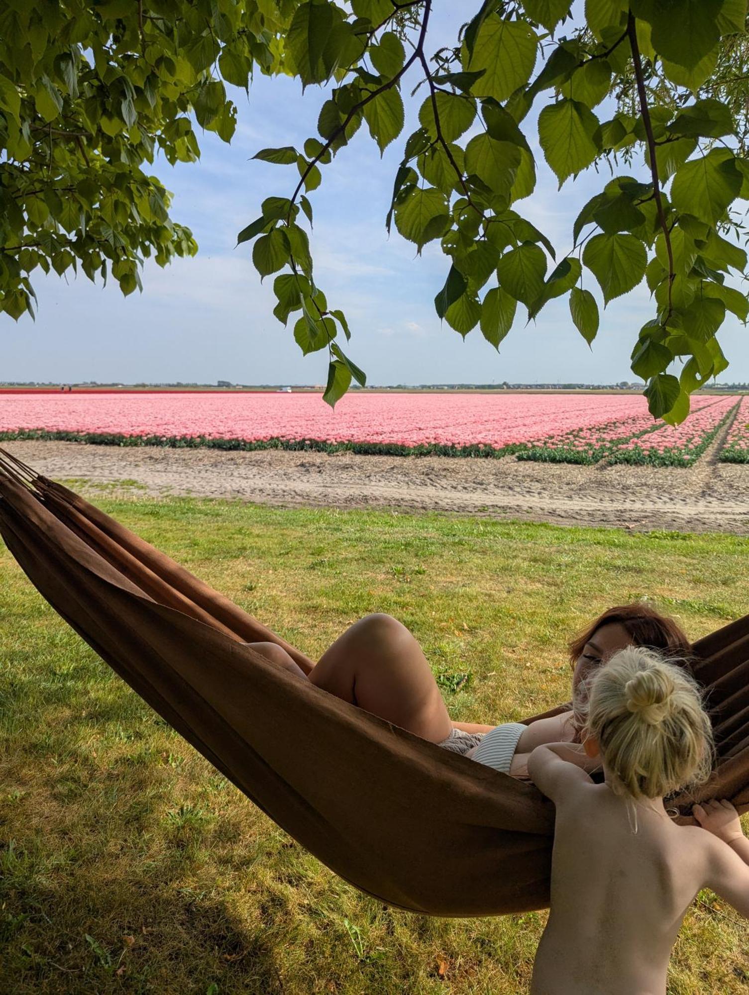 Empty Spot On Grass The Tulip No Beds * Julianadorp